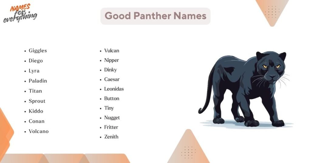 Good Panther Names