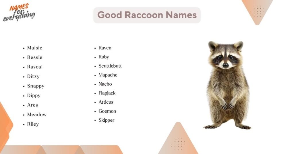 Good Raccoon Names