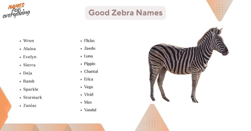 Good Zebra Names