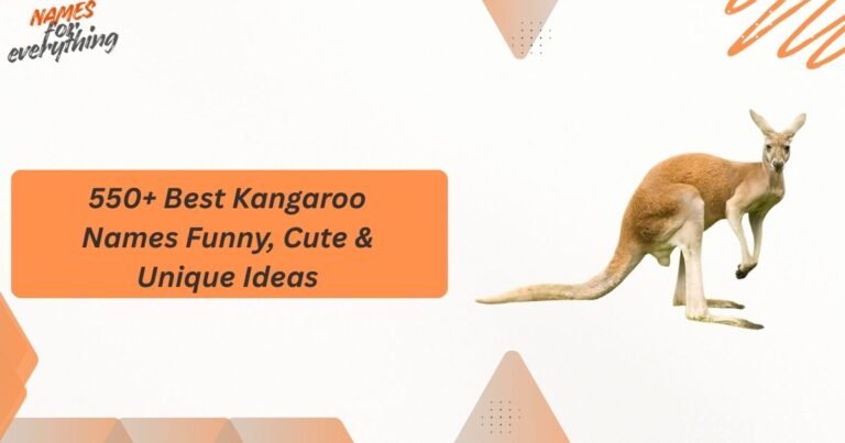 Kangaroo Names