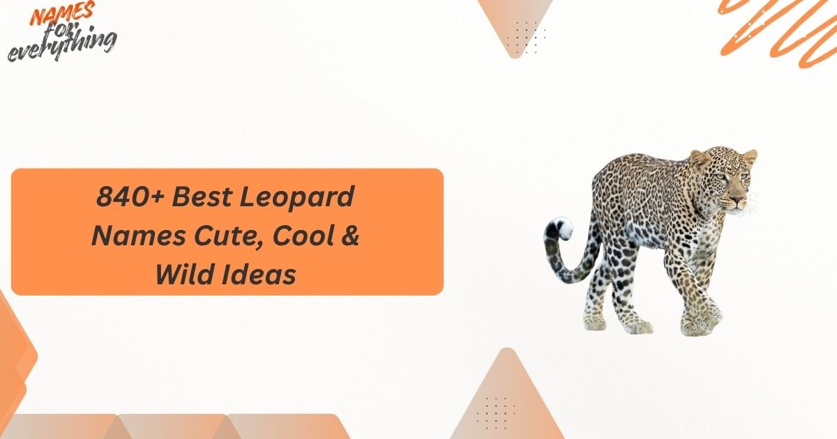 Leopard Names