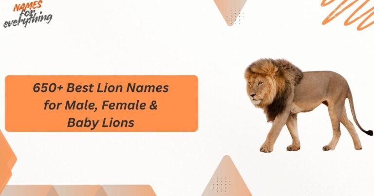 Lion Names