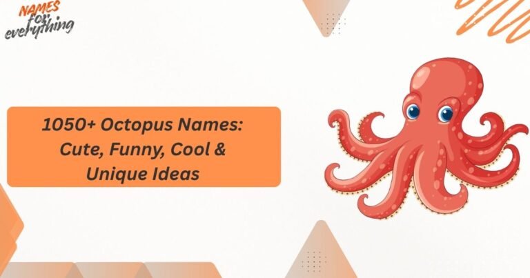 Octopus Names
