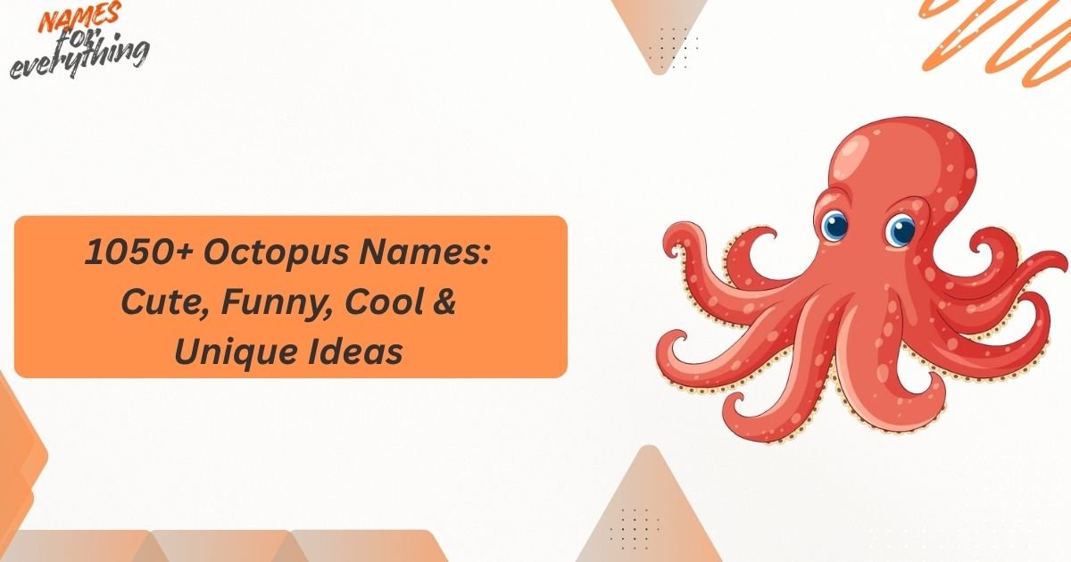 Octopus Names