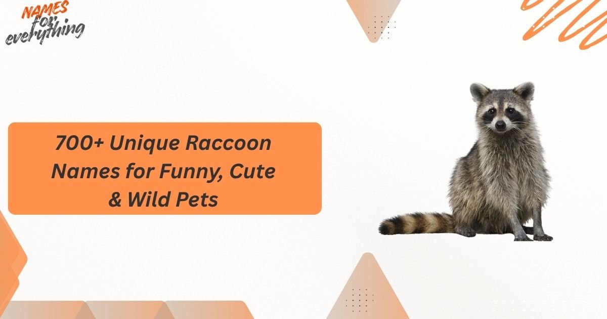 Raccoon Names