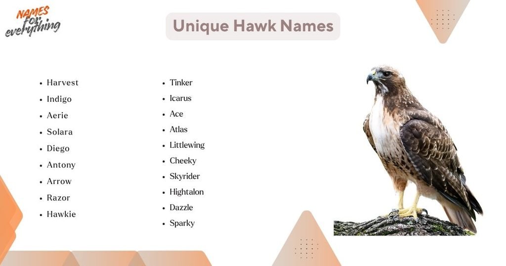 Unique Hawk Names