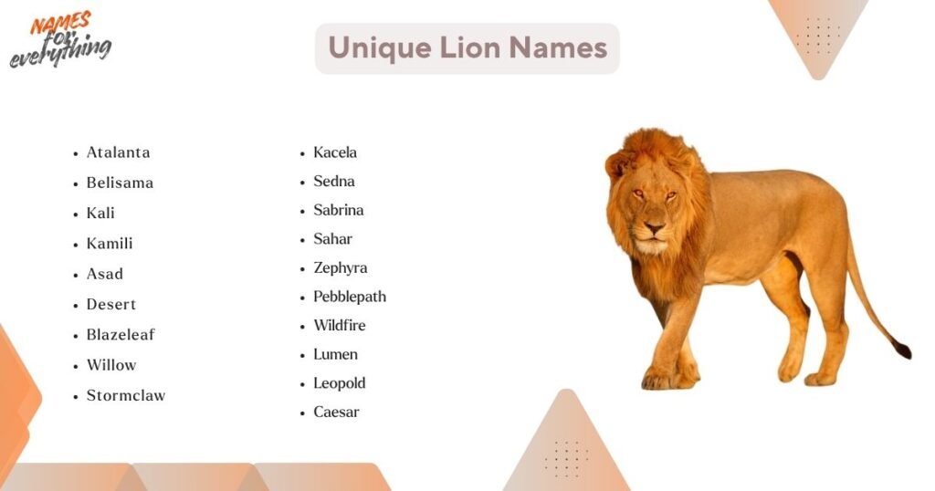Unique Lion Names