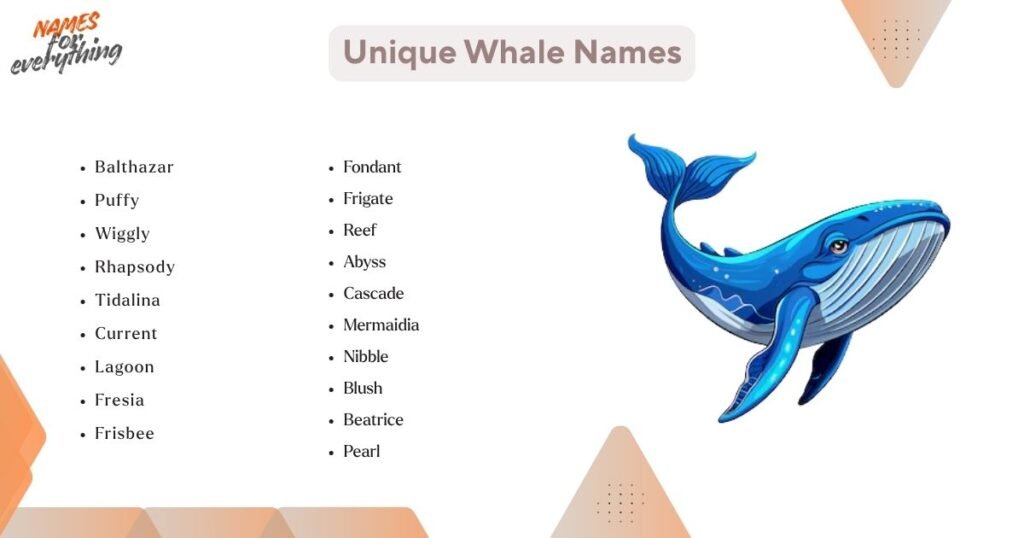 Unique Whale Names
