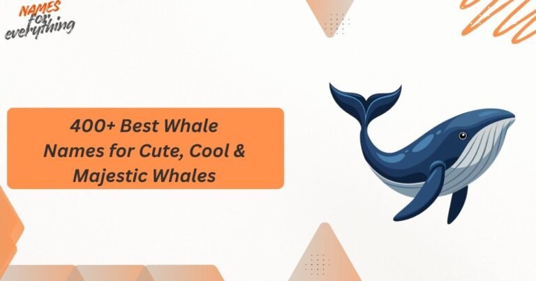 Whale Names