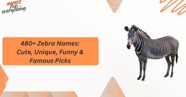Zebra Names