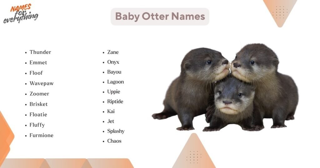 Baby Otter Names