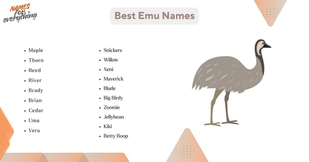 Best Emu Names