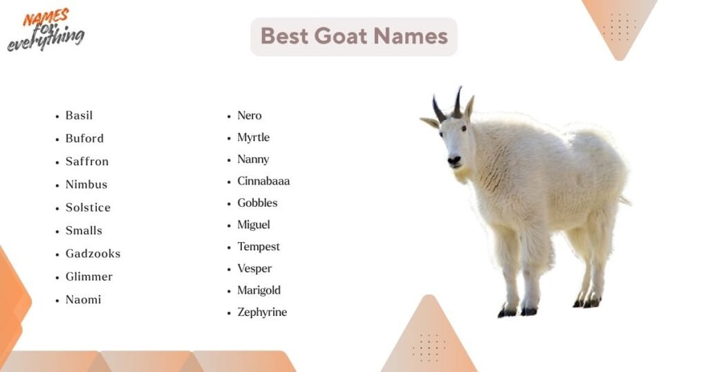 Best Goat Names