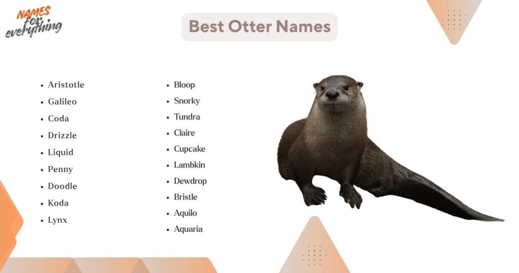 Best Otter Names