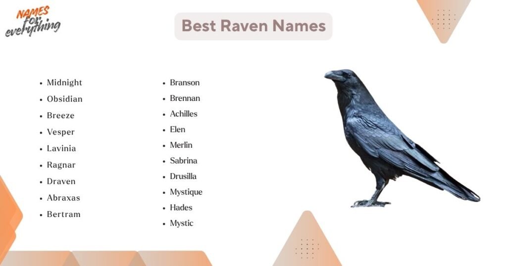 Best Raven Names