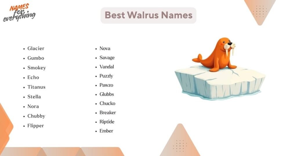 Best Walrus Names