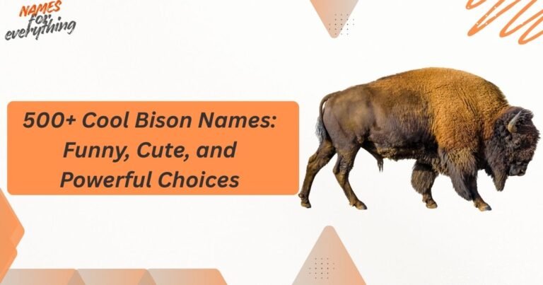 Bison Names