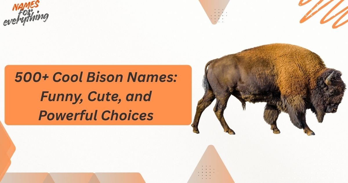 Bison Names