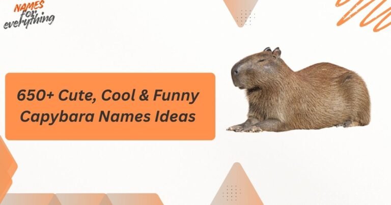 Capybara Names