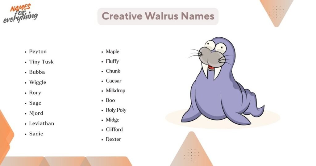 Creative Walrus Names