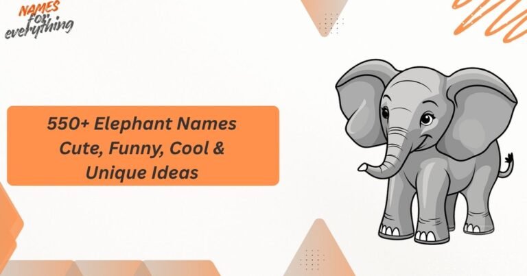 Elephant Names