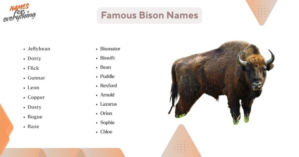 Famous Bison Names