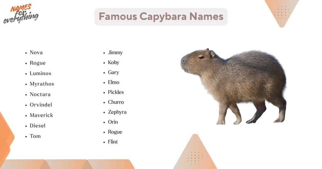 Famous Capybara Names