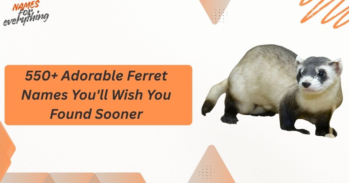 Ferret Names