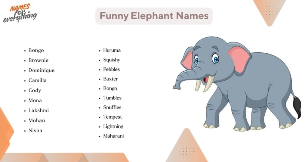 Funny Elephant Names