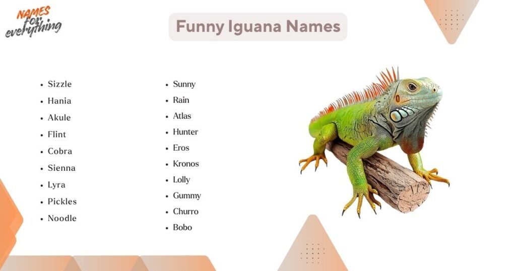 Funny Iguana Names
