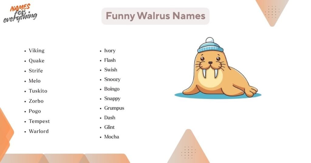 Funny Walrus Names