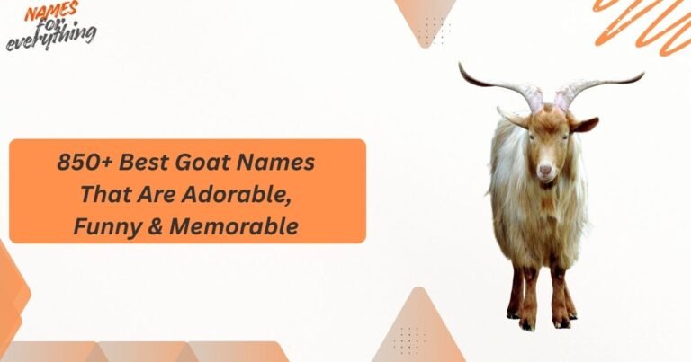Goat Names