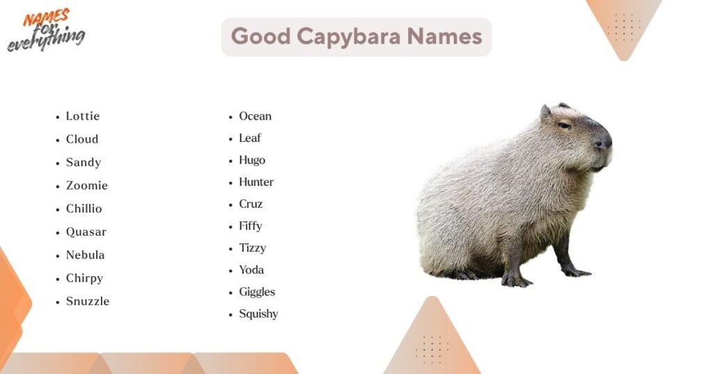 Good Capybara Names