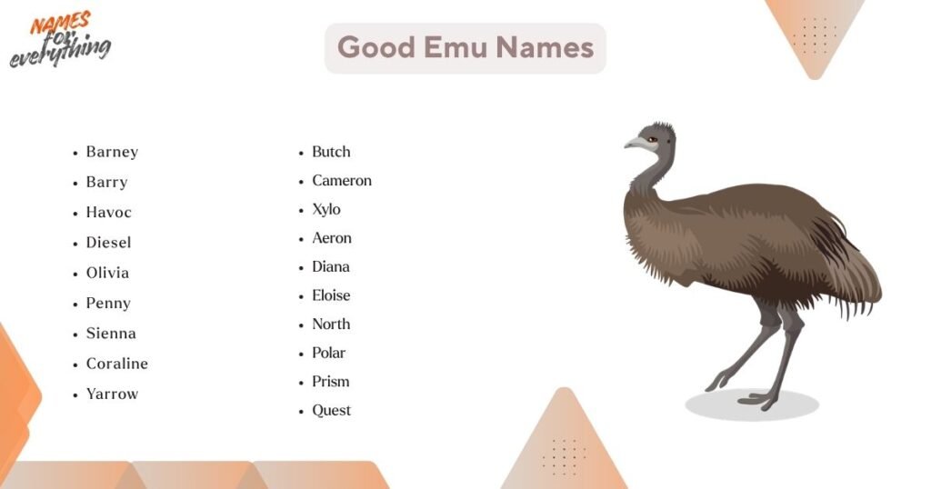 Good Emu Names