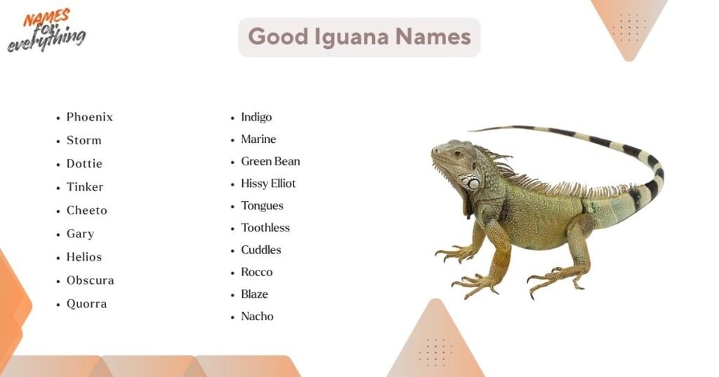 Good Iguana Names