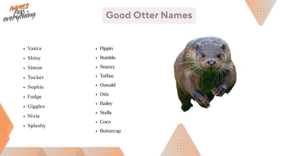 Good Otter Names