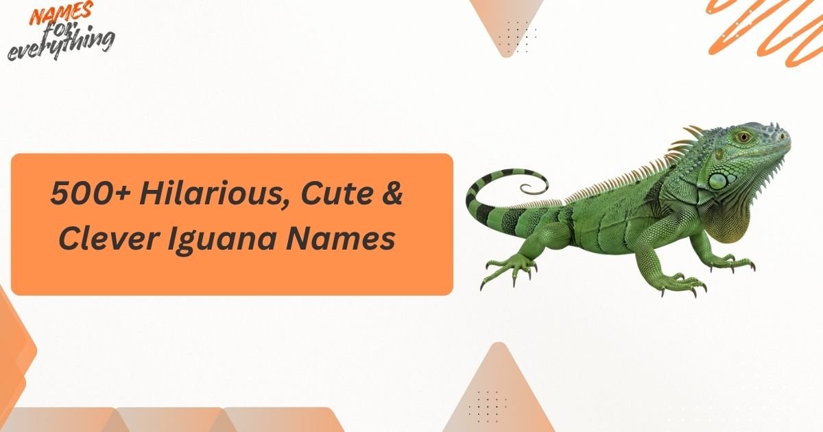 Iguana Names