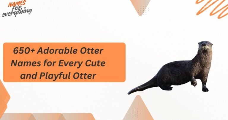 Otter Names