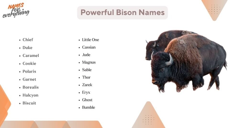Powerful Bison Names