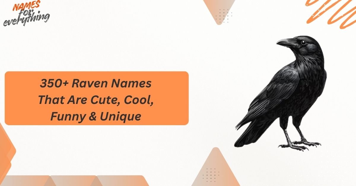Raven Names