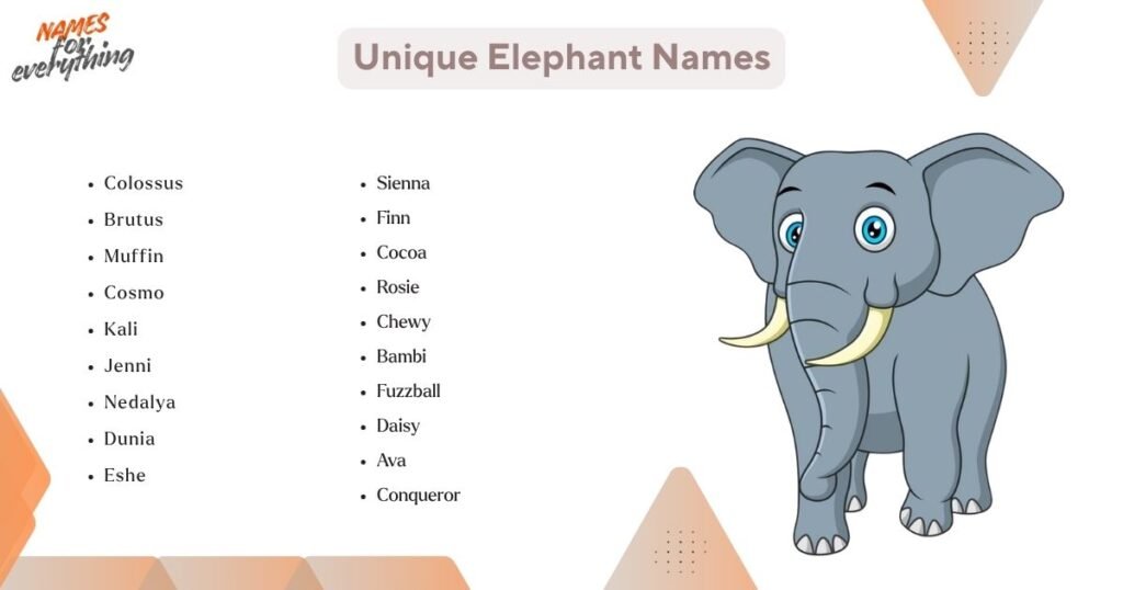 Unique Elephant Names