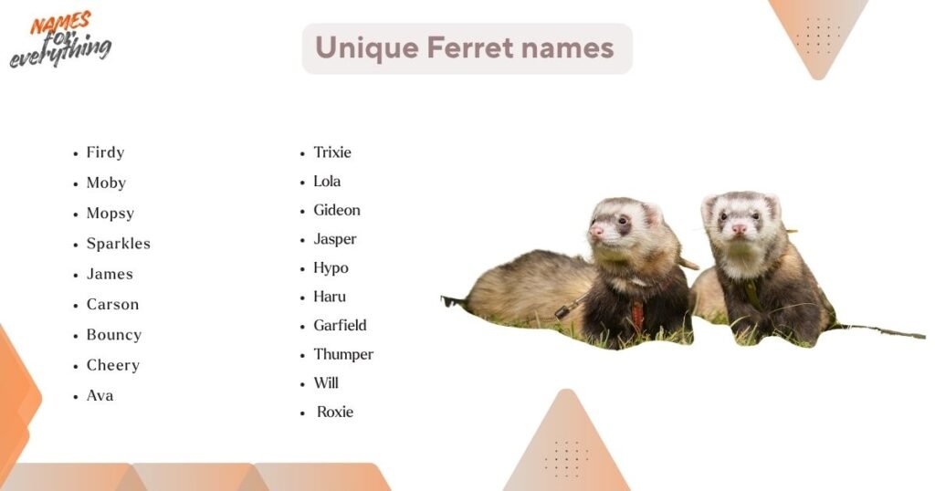 Unique Ferret names 
