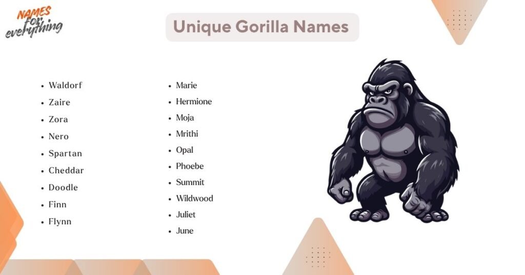 Unique Gorilla Names 