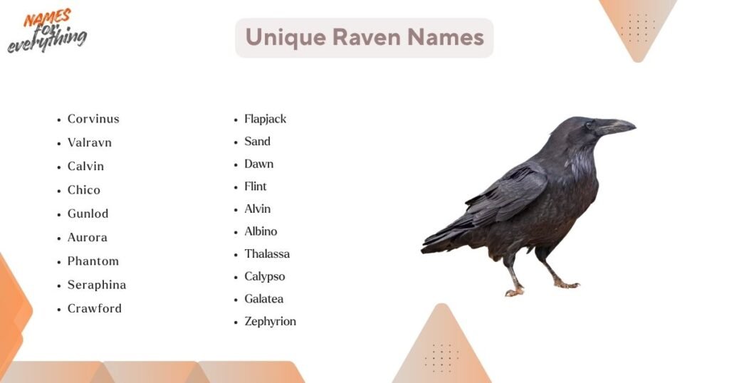 Unique Raven Names