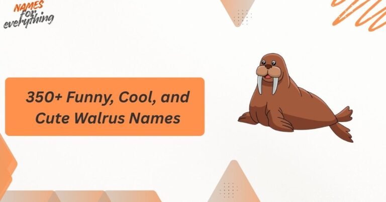 Walrus Names