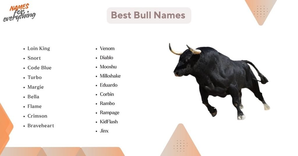 Best Bull Names