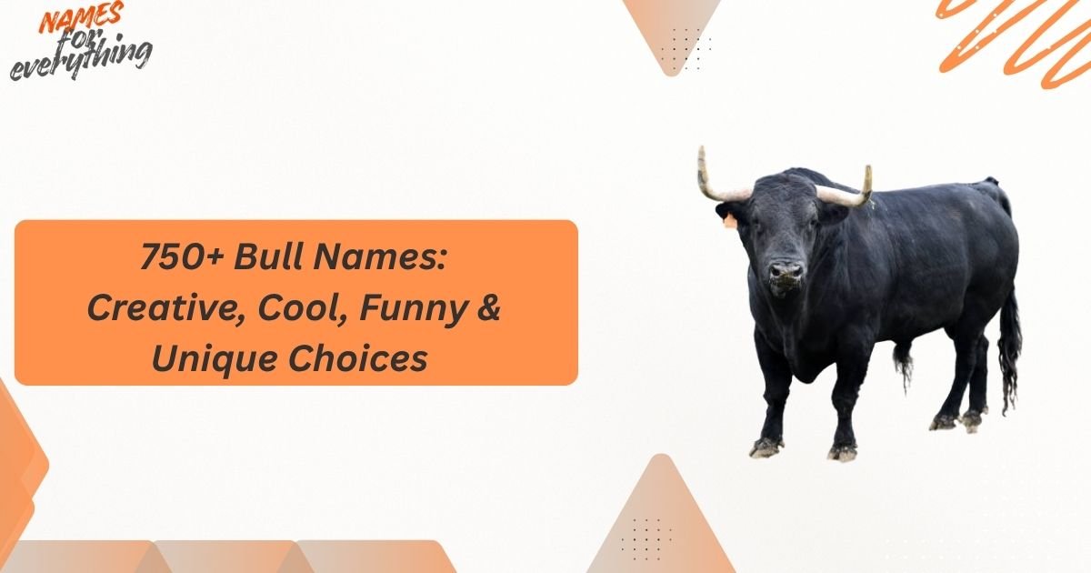 Bull Names