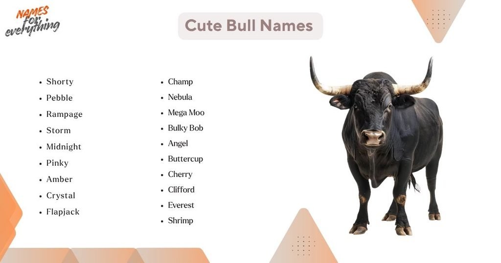 Cute Bull Names