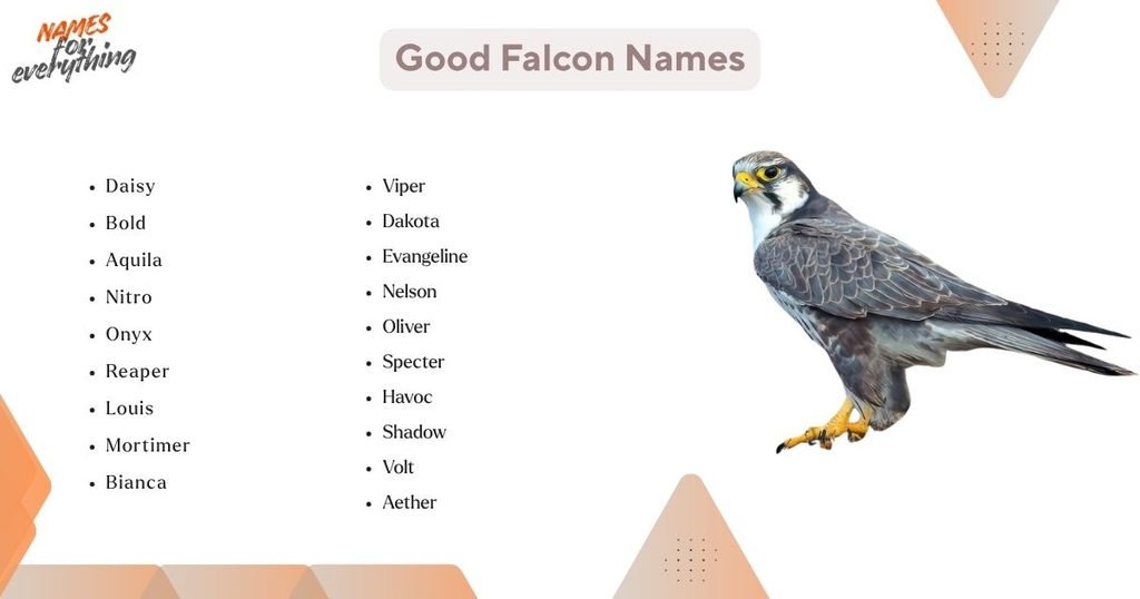 Good Falcon Names