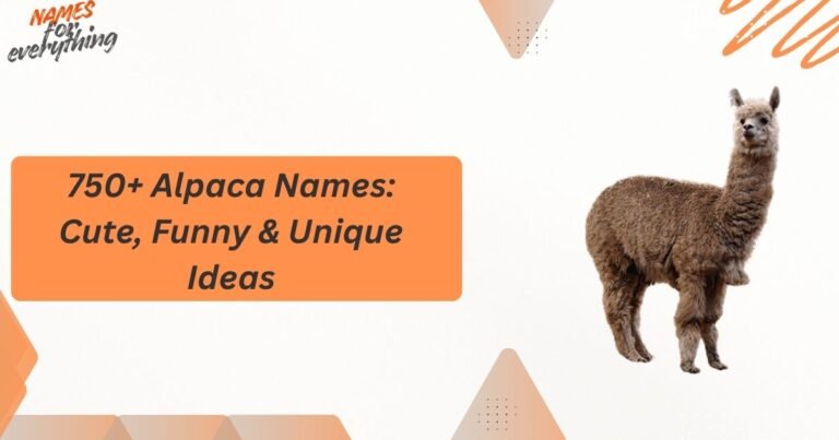 Alpaca Names